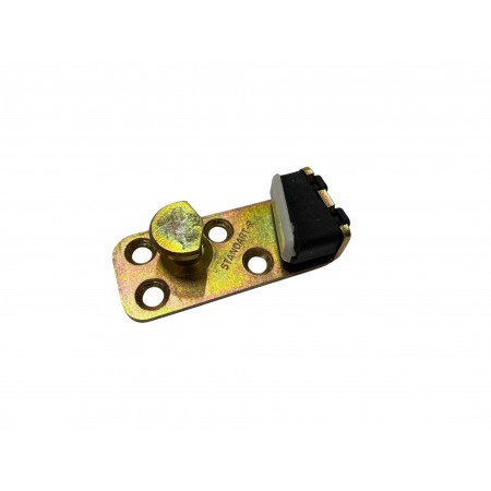 Right Door Lock Striker